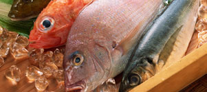 Sea fish